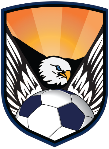 quad city eagles 2013-pres primary logo t shirt iron on transfers